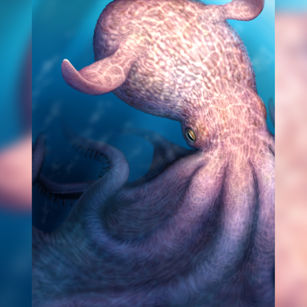 Giant 19-Metre Octopus ruled ancient oceans 100 million years ago
