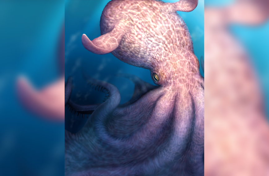 Giant 19-Metre Octopus ruled ancient oceans 100 million years ago