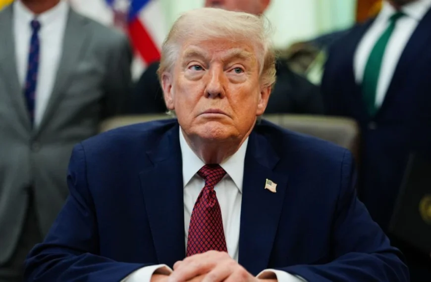 president donald trump