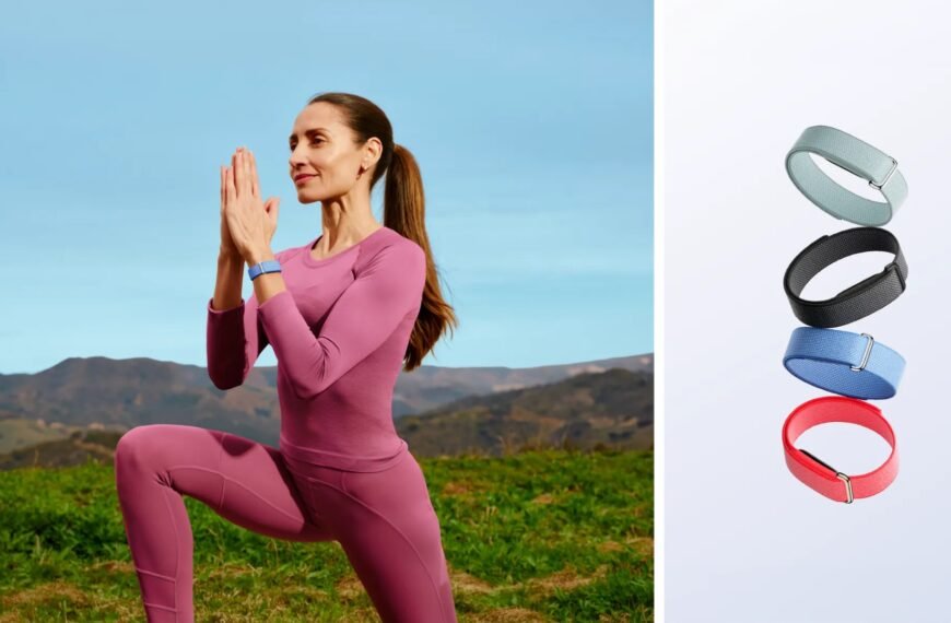 fitbit air tracker