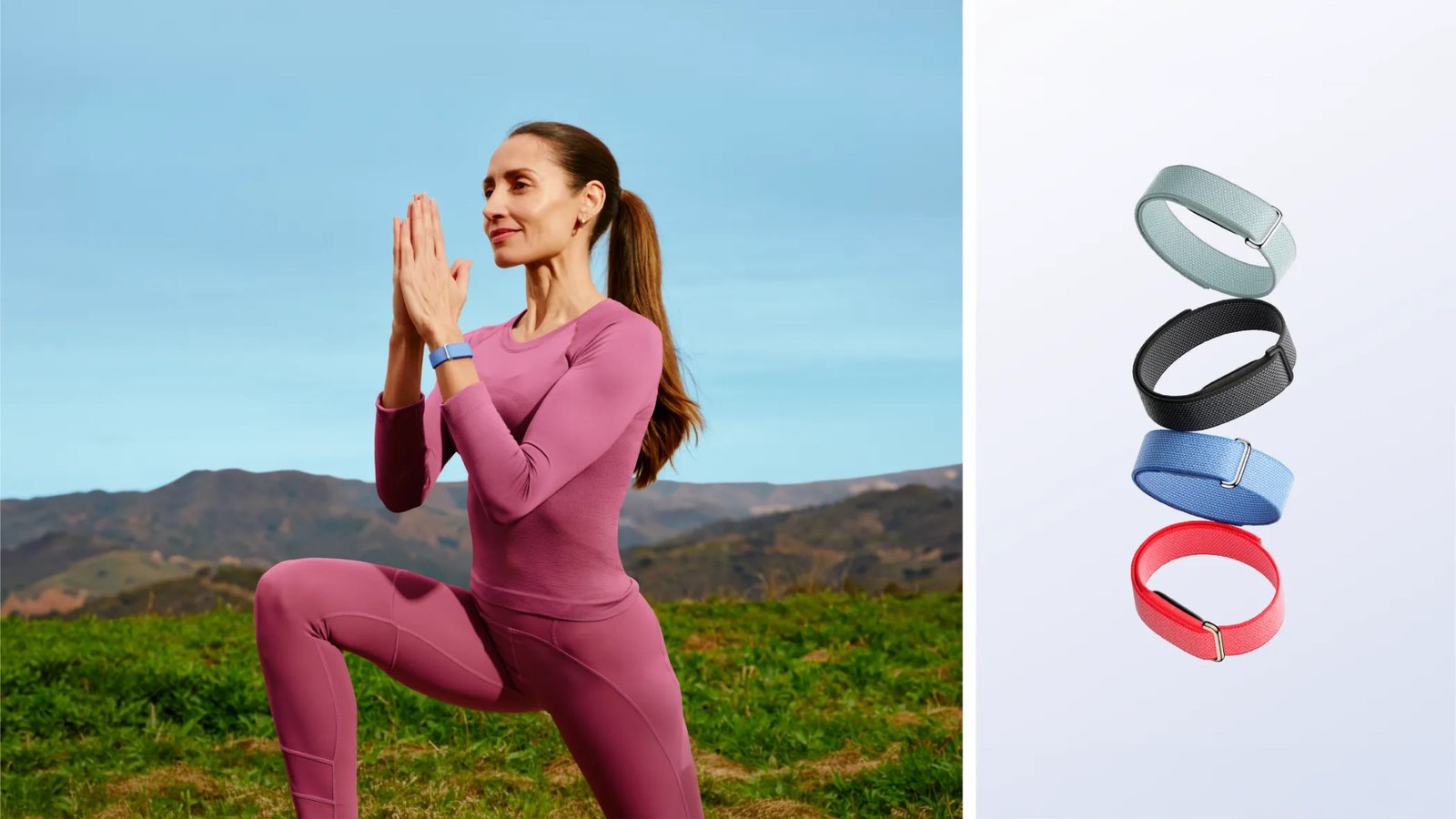 fitbit air tracker