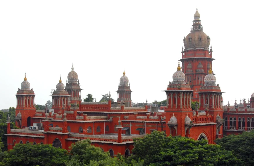 Madras High Court Questions MLAs Resigning and Contesting Again
